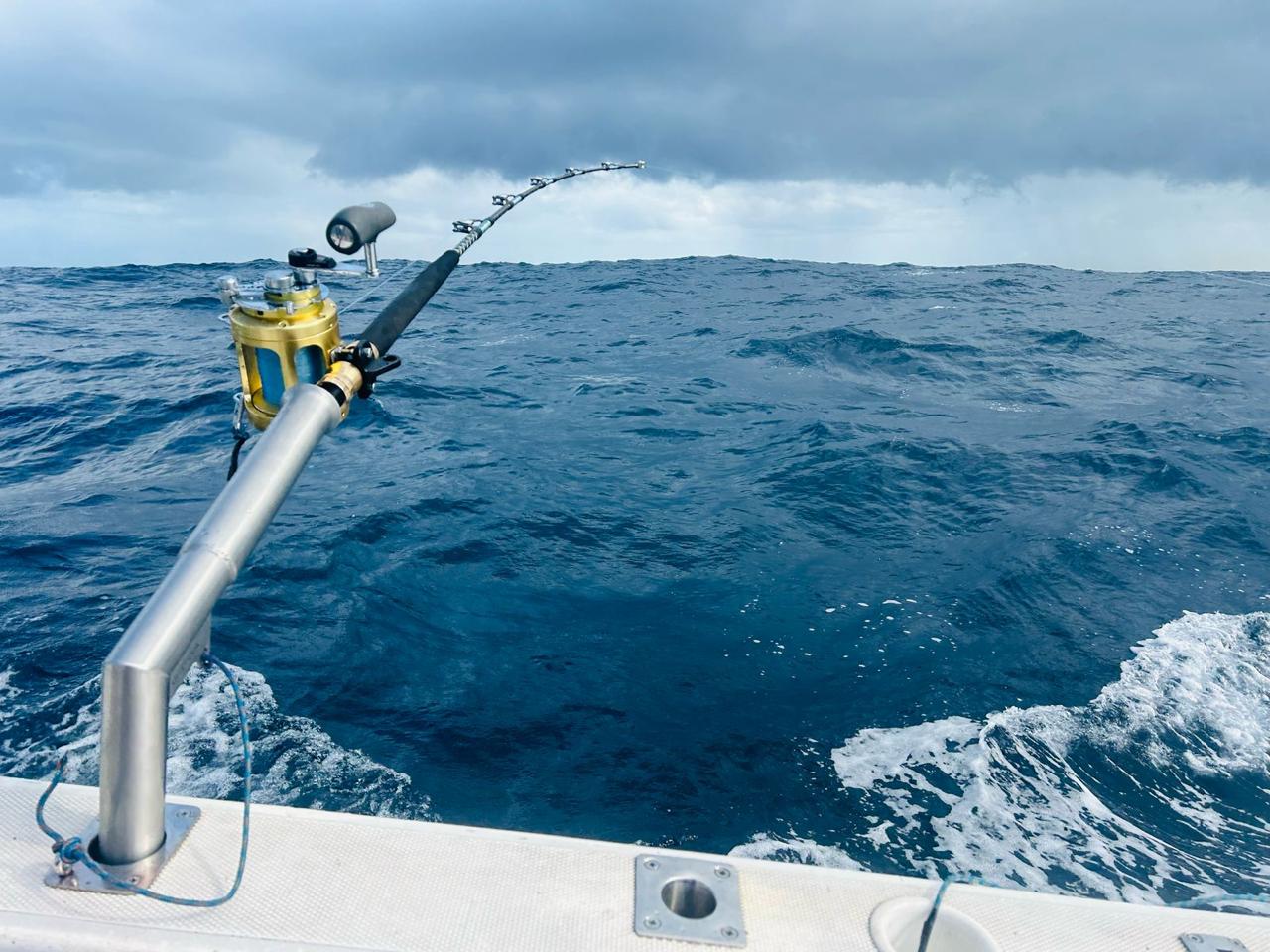 Stainless Steel Rod Rigger (Set of 2)